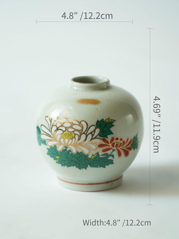 D806000049999尺寸图